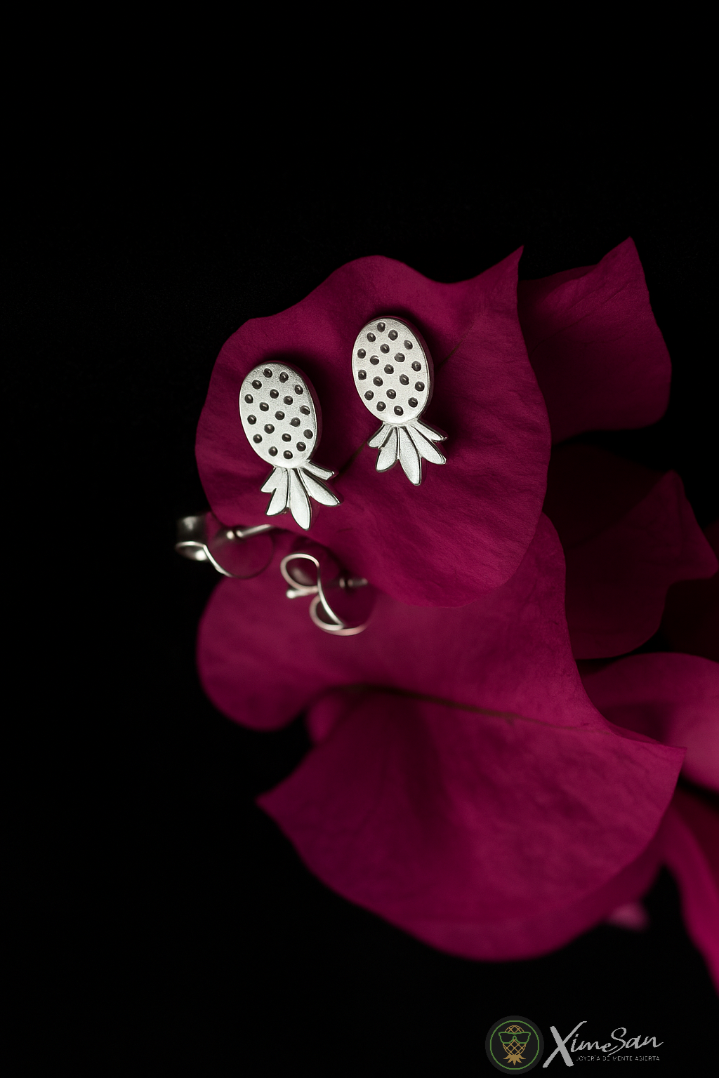 Aretes Piña Chica – Símbolo de Apertur